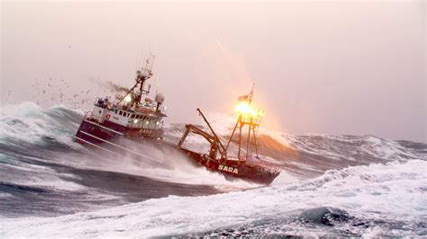 deadliest catch torrent|Discovery's Deadliest Catch .